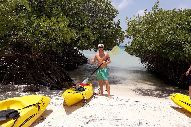 Private Aruba Kayak & Snorkeling Tour + Transortation - Price and What You Actually Get for $155