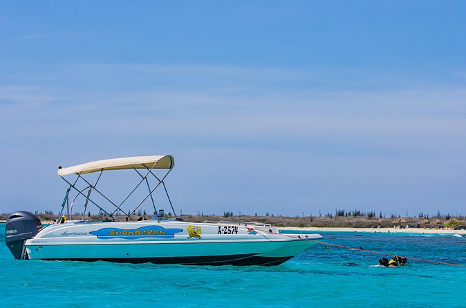 Private Boat Cruise with Snorkeling - Arashi Beach near West Point: coral beauty when seas cooperate