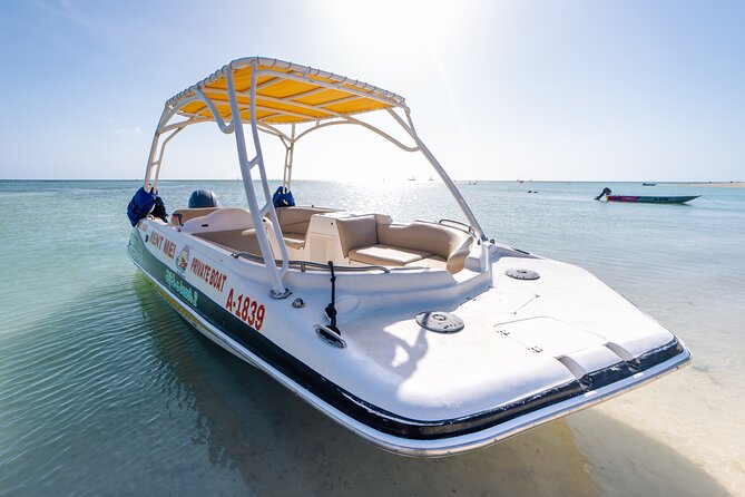 Private Boat & Snorkeling Adventure on Aruba’s Crystal Coast - Drinks, Bluetooth, and shade: the comfort details you’ll thank yourself for
