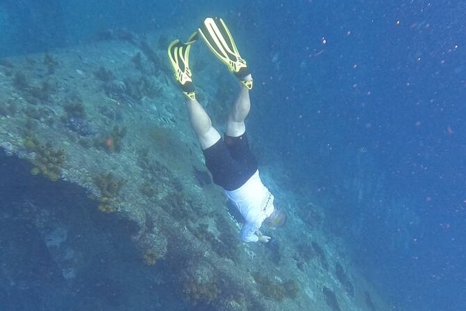 Private Boat Tour in Aruba - Stop 3: The Antilla Shipwreck From a Real-Scale Distance
