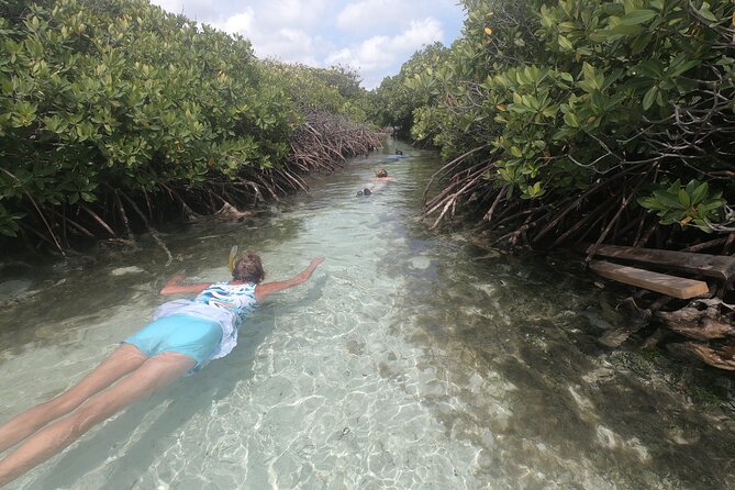 Private Boat Tour in Aruba - Stop 4: Malmok Beach Snorkeling and the Baboo Shipwreck