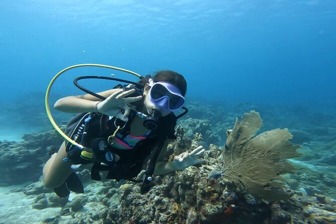 Private Dive + videographer/Photographer (Certified divers only) - Your Guides and Camera Team: Certified Scuba + Real Photo Skills