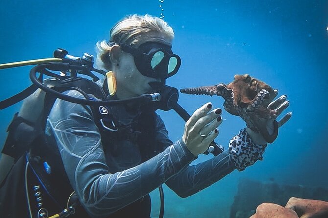 Private Dive + videographer/Photographer (Certified divers only) - Choosing Reef Spots and the Sunken Ship Option