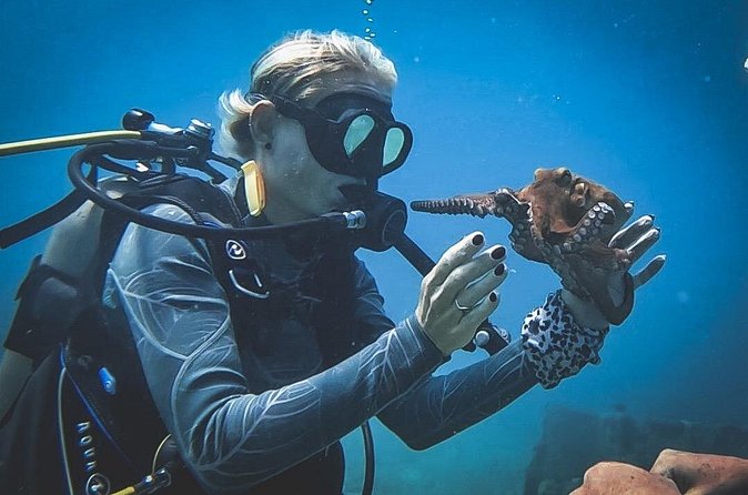 Private Dive + videographer/Photographer (Certified divers only) - Who This Private Photo-Scuba Session Fits Best