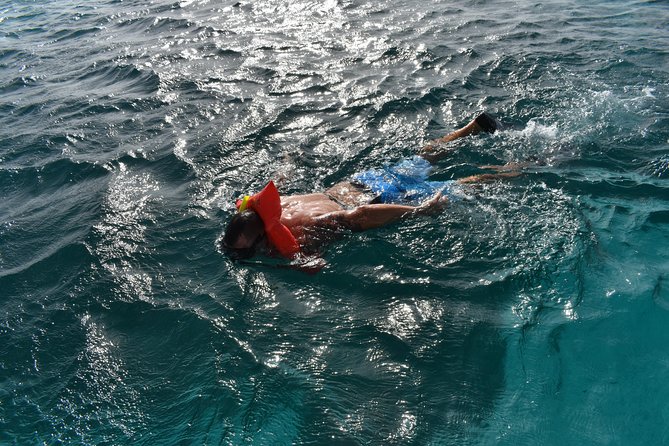 Private Half Day Charter - Snorkeling Gear That’s Provided (and Sanitized)