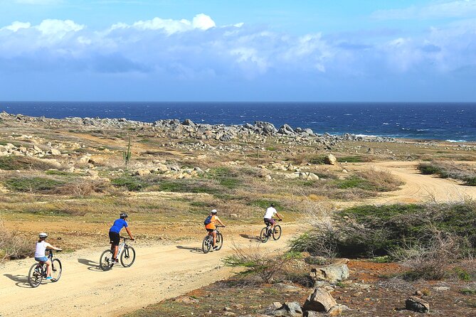 Private Mountain Bike Tour in Aruba - Cactus Trails and Coast Views in a Compact 2-Hour Ride