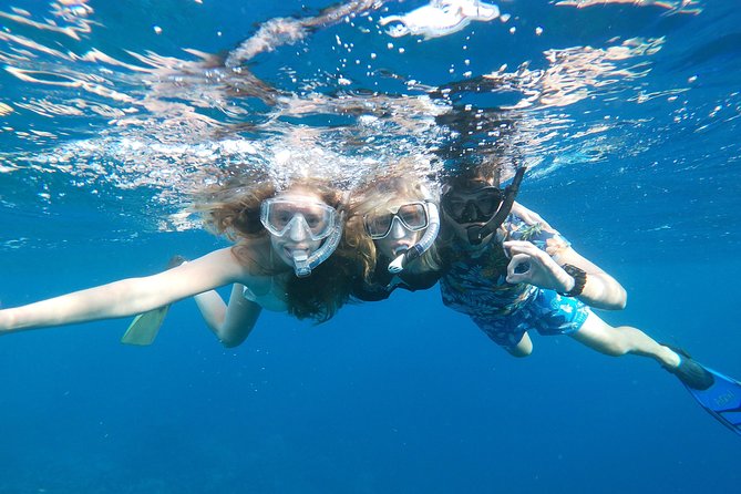 Private nature tour: Aruban mangrove forest & pristine coral reef - Who this tour fits best on Aruba (and who should be cautious)