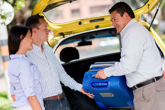 Private One-Way Transfer Reina Beatrix Airport to Aruba - Vehicle Expectations and Baggage Help: Manage the Details