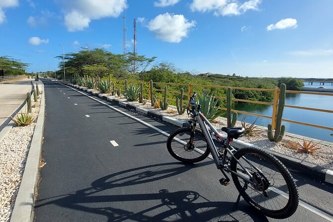 Private Road to San Nicolas Culture Heritage by E-Bike Aruba - Spanish Lagoon: cycling beside a Ramsar-protected wetland