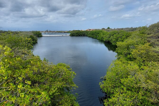 Private Road to San Nicolas Culture Heritage by E-Bike Aruba - Mangel Halto’s fishermans pier: daily life, not just landmarks