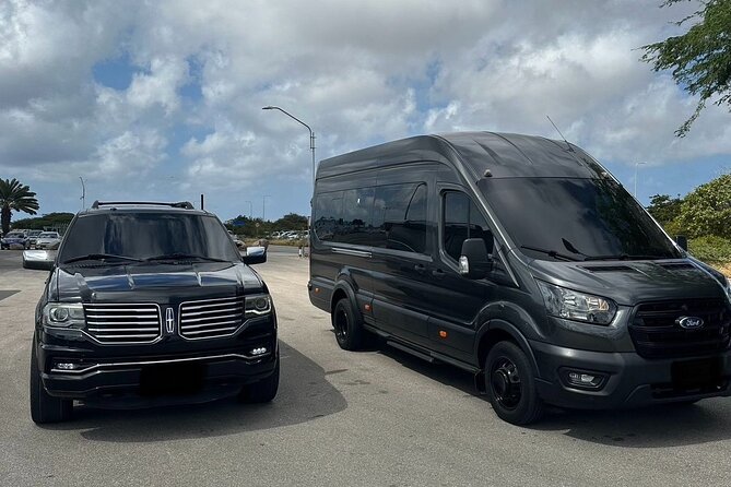 Private Round-Trip Airport Transfer In Aruba - Spotting your driver fast after customs (no guessing games)