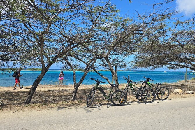 Private Spanish Lagoon EcoHeritage E-Bike Tour - Key highlights worth planning around