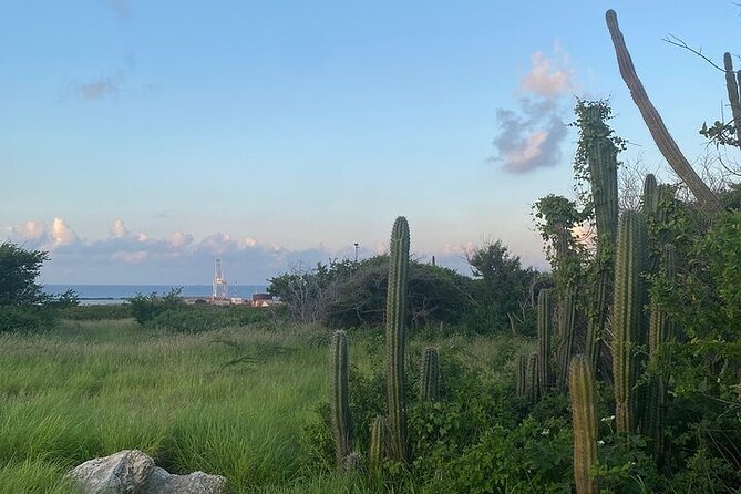 Private Spanish Lagoon EcoHeritage E-Bike Tour - Beach-to-town routing: Druif, Bushiri, Surfside, and the approach to Mangel Halto