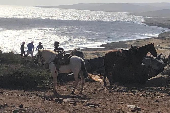 Private Sunset Horseback Ride - Key things to know before you go