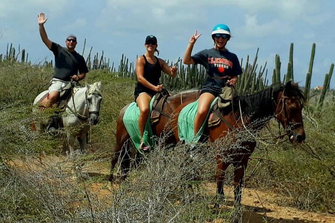 Private Sunset Horseback Ride - Why This Private Sunset Ride Beats Aruba’s Usual Crowds