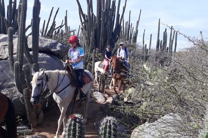 Private Sunset Horseback Ride - At the Ranch: Waivers, Helmets, and the Horse-Control Check