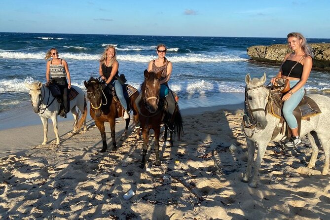 Private Sunset Horseback Ride - Cozy Country Bar After the Ride: Drinks and Dutch Grilled Sandwiches