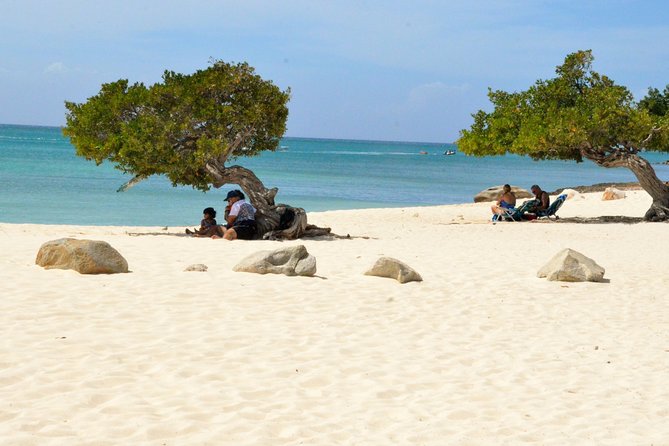 Private Tour: Essential Tour of Aruba - Why the Small-Group Minivan Makes This Tour Feel Personal