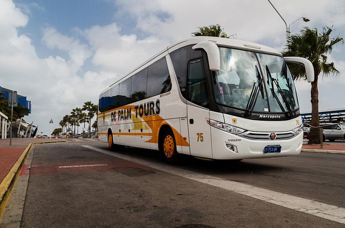 Round Trip Aruba Airport Transfer - How Long Will It Take Back to the Airport?