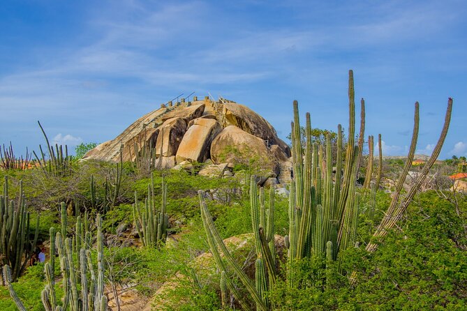 Scenic Aruba Self-Guided Driving and Walking Audio Tour - Should you book Scenic Aruba Self-Guided Driving and Walking Audio Tour?