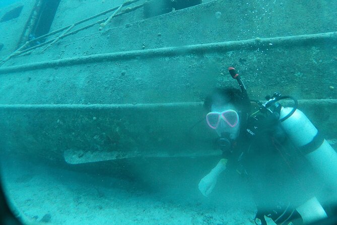 Shore Dive Aruba for Certified Divers - How the shore-only setting changes everything