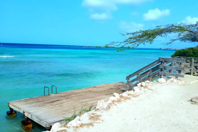 Shore Dive Aruba for Certified Divers - Mangel Halto Reef: the easy-to-love first choice