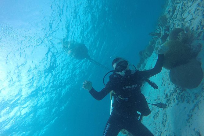 Shore Dive Aruba for Certified Divers - Your ~2-hour flow: what the timing means in real life