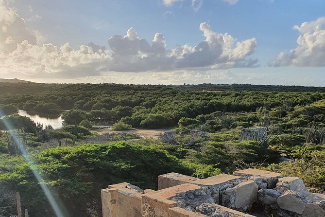 Spanish Lagoon Mangrove Trail & Bird Watching - Spanish Lagoon Mangrove Trail: Why this half-day feels worth it
