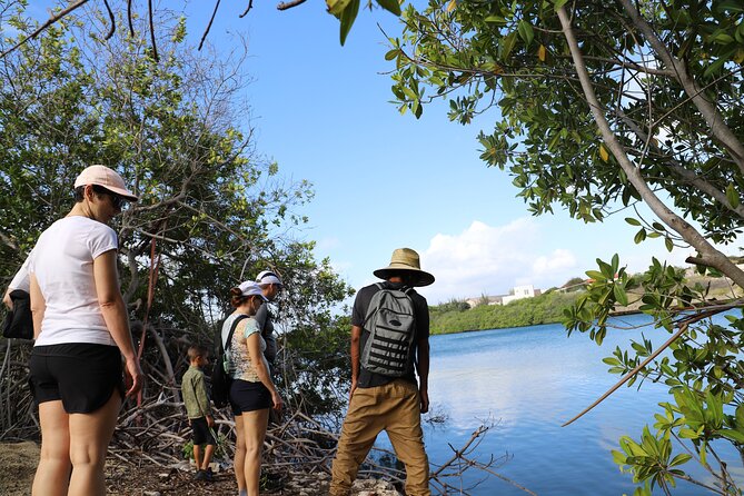 Spanish Lagoon Mangrove Trail & Bird Watching - Balashi Gold Mill Ruins and Frenchman’s Pass: the storytelling stop
