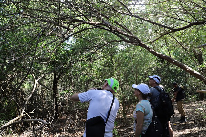 Spanish Lagoon Mangrove Trail & Bird Watching - What to bring so the morning feels easy
