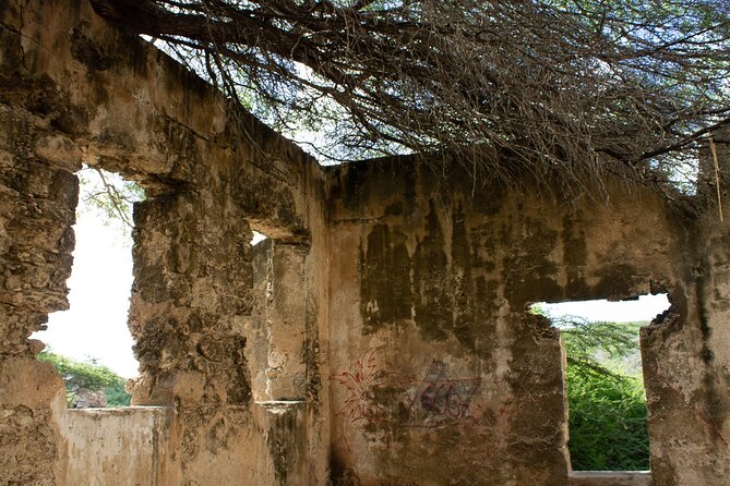 Spanish Lagoon Mangrove Trail & Bird Watching - Who should book this tour, and who should think twice
