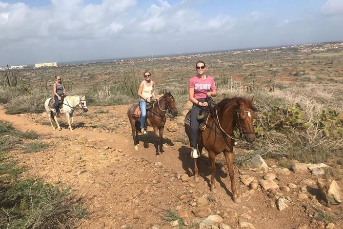 Sunset Horseback Ride in Aruba - The Saddle-Up Moment: Helmets, Instructions, and Horse Pairing