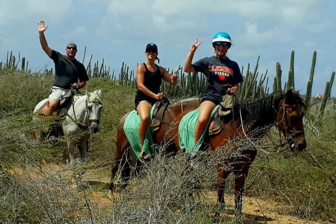 Sunset Horseback Ride in Aruba - The Hilltop Sunset Viewpoint: What You’re Really Paying For