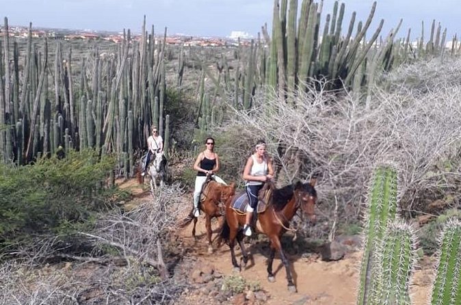 Sunset Horseback Ride in Aruba - Price and Value: What $130 Buys You (and What It Doesn’t)