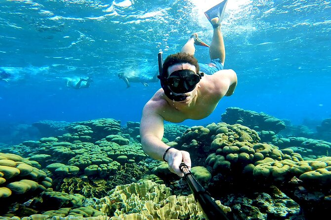 Tropical Dream Snorkel and Dinner Sail in Aruba - Mangel Halto Reef snorkeling and the Antilla shipwreck stop