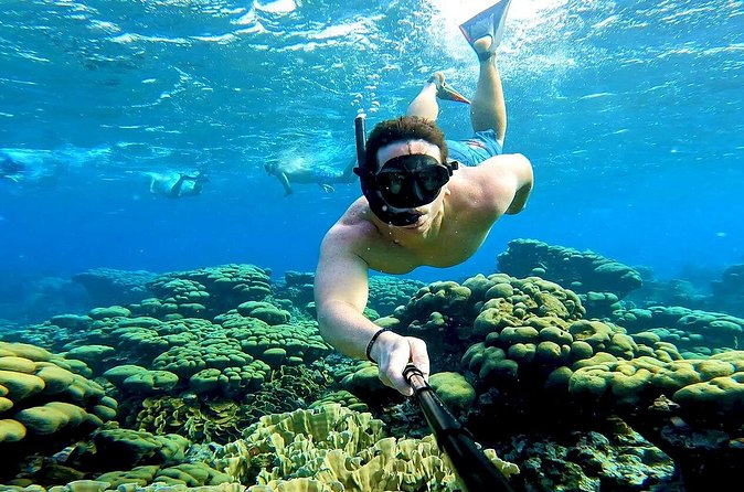 Tropical Dream Snorkel and Dinner Sail in Aruba - 4-course lunch or early dinner, plus premium open bar