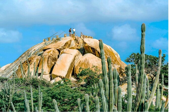 UTV Morning Tour: Discover Aruba's Hidden Treasures - Why this UTV morning tour feels different in Aruba